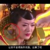 牛气冲天的动物打一生肖